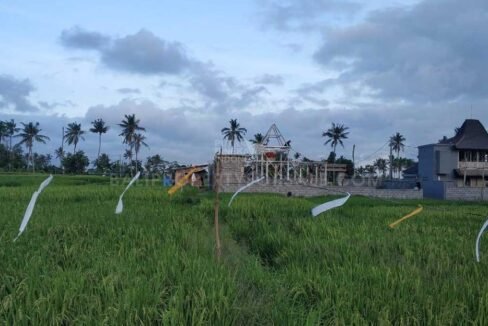 Seseh-Bali-land-for-sale-MWB-6023-c-min