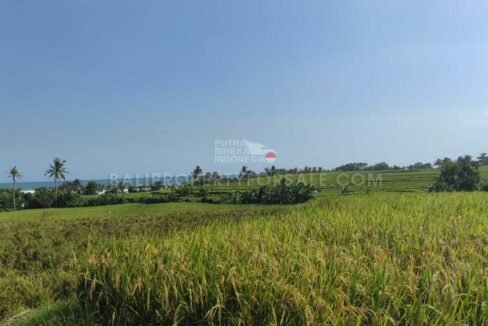 Land-for-sale-Tabanan-FH-1174-f