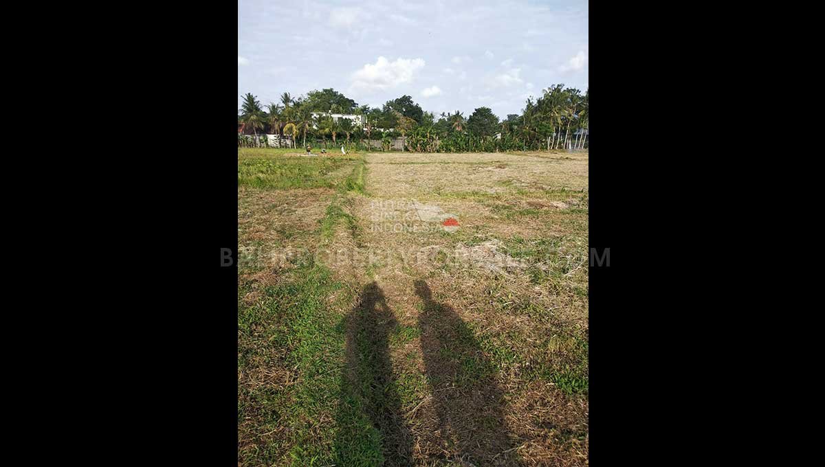 Land-for-sale-Tabanan-FH-1453-d