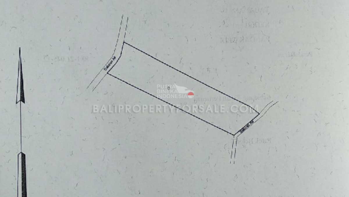Land-for-sale-Tabanan-FH-1453-f